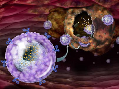 nanoparticles nanoparticles