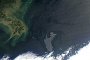 Gulf Oil Spill