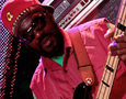 The Wailers
