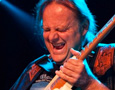 Walter Trout