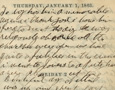 Diary of Emilie Davis