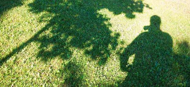Do trees NEED mulch? And can a tree survive severed roots?