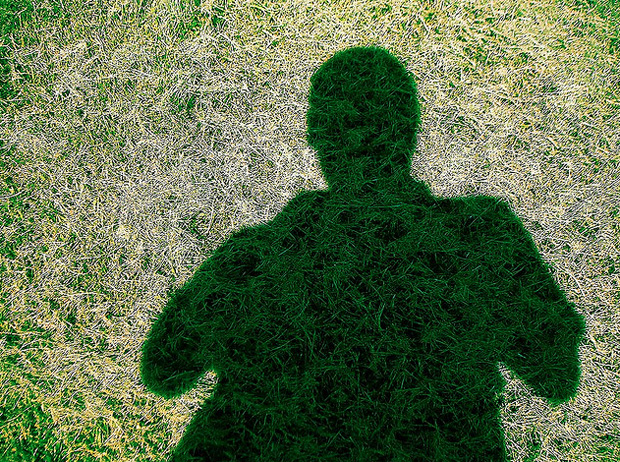 Healthy lawns