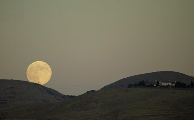 Harvest Moon