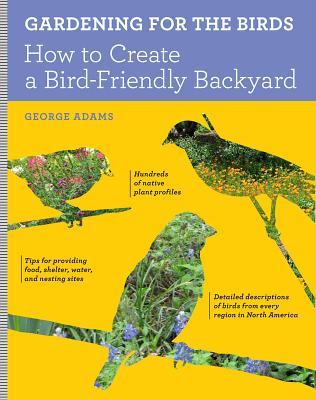 Gardening for the Birds: How to Create a Bird-Friendly Backyard