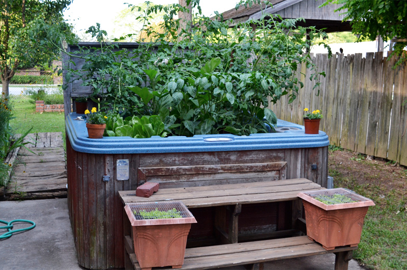 garden