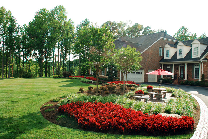 Caring for your lawn organically