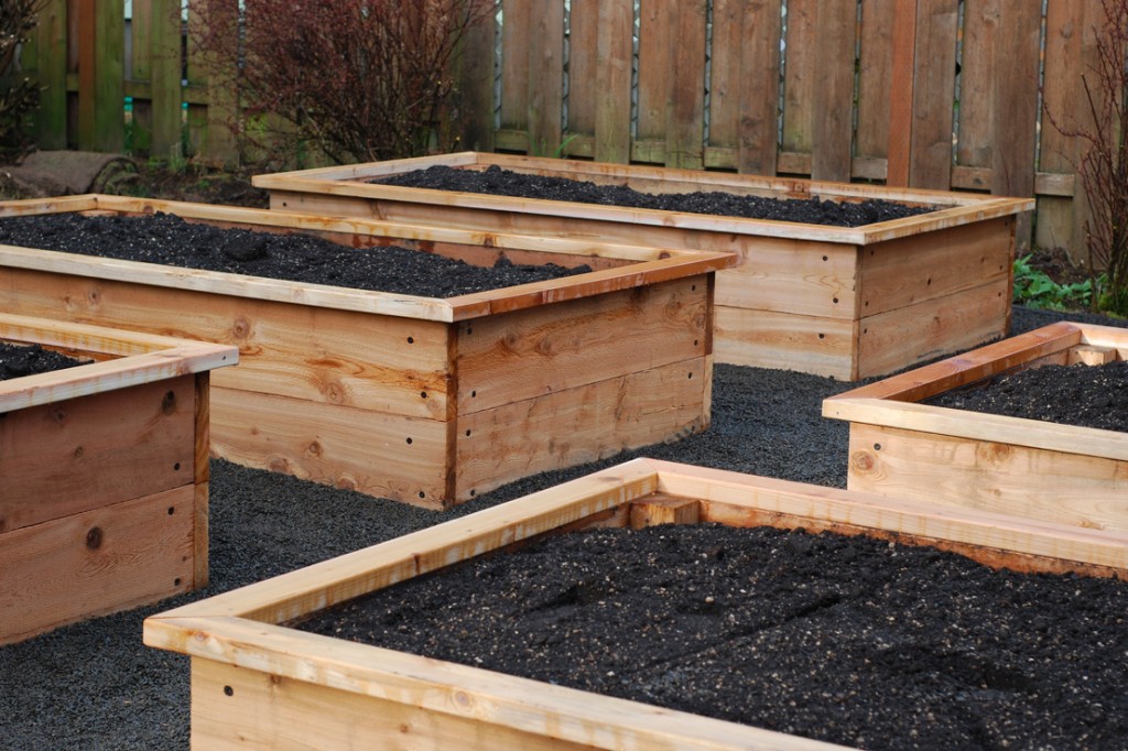 Raised beds