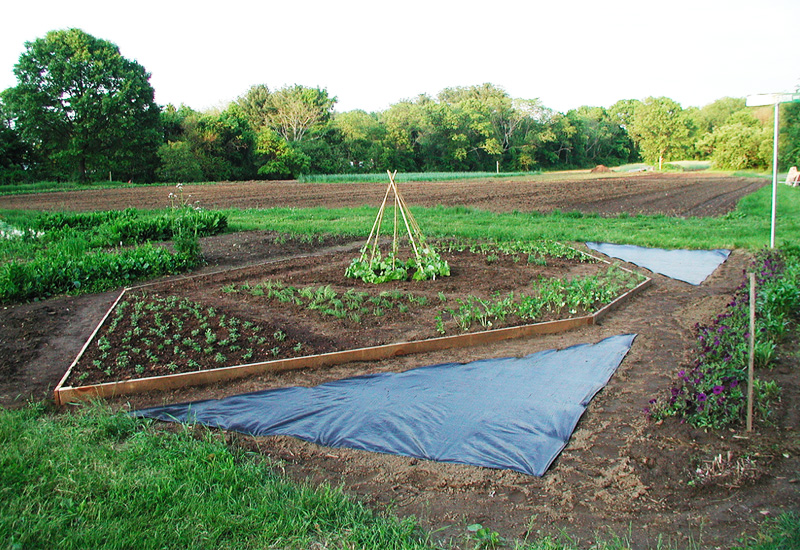 raisedbed