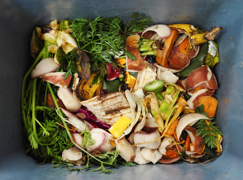 bananas in compost