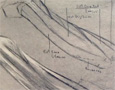 Anatomy drawing