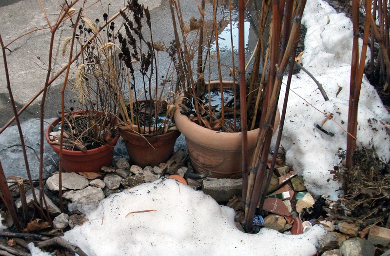 snow garden