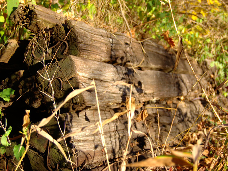 Railroad Ties are NOT Legal for Home Landscape Use 
