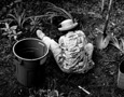 gardener