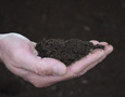 compost