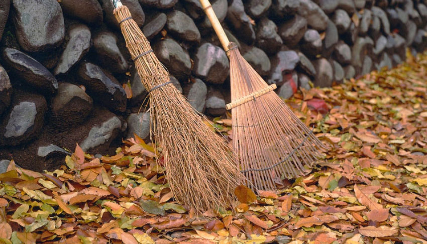 fall cleanup