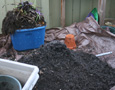 Compost