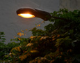 Streetlight