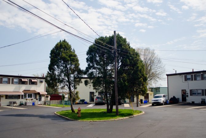 Feinberg is canvassing here in Pennypack Woods, a cluster of vinyl-sided twin houses built during the Second World War for defense workers. (Alex Lewis/Every ZIP Philadelphia)
