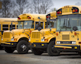 school buses