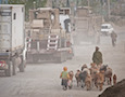 a man herds goats near a military convoy