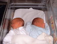 twin babies