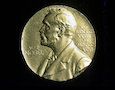 the Nobel Prize