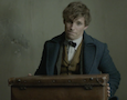 Eddie Redmayne as Newt Scamander