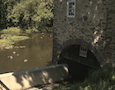 Castle Valley Mill