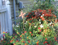 Flower bed next to house