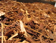 mulch