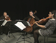 3/4 of the Dali quartet