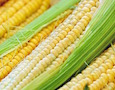 corn