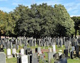 a cemetery