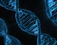 DNA