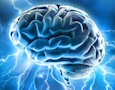 a brain