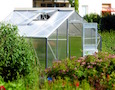 a greenhouse