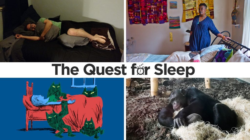 l_showtilesleep