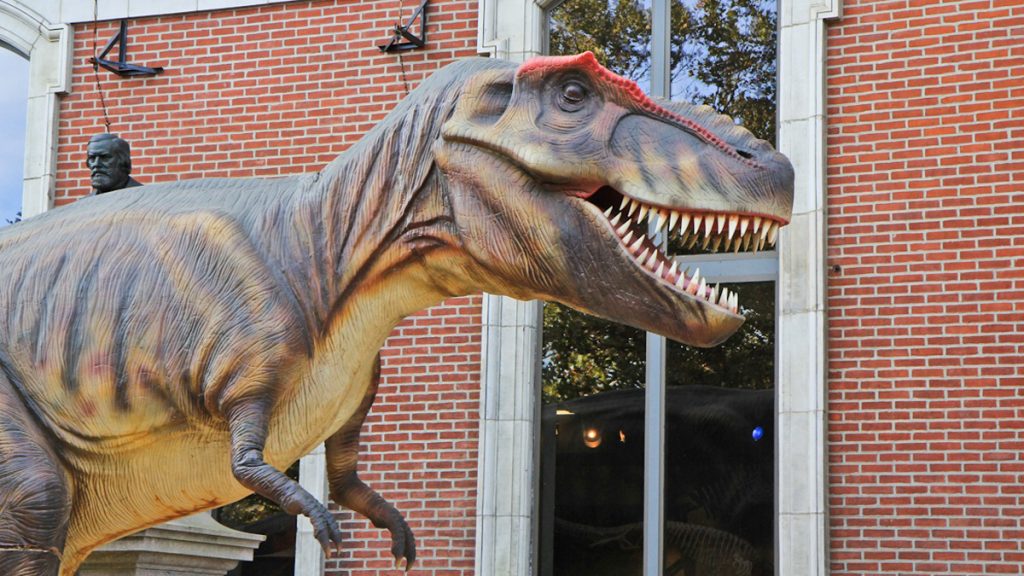  The T. rex arrived in three pieces before it was bolted to a base on the sidewalk, then the outer skin layer was sewn on to the dinosaur. (Kimberly Paynter/WHYY) 