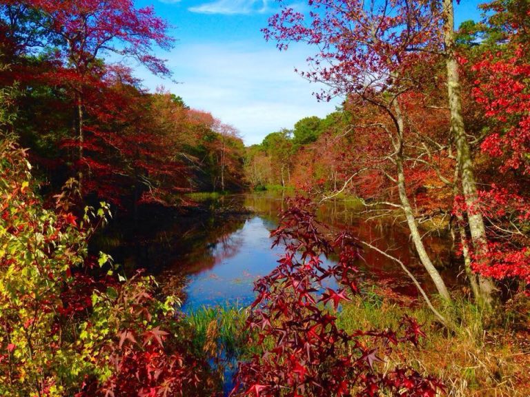  Little Egg Harbor in October 2014. (Photo: JSHN contributor Rob Libonati‎) 