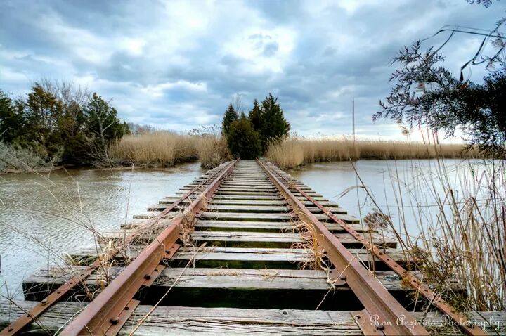  Abandoned tracks of the Mauricetown Railroad on the Delaware Bay. (Photo: JSHN contributor Ron Anzivino) 