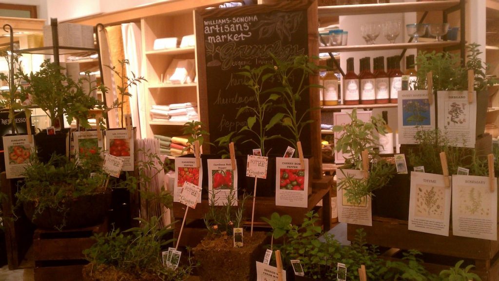 1064681_675350682492194_622360288_o A look inside Greenology. (Courtesy of Greenology)