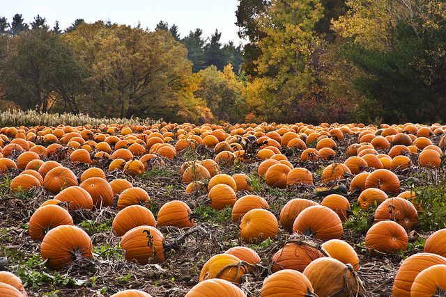 (Photo: Liz West via Flickr)