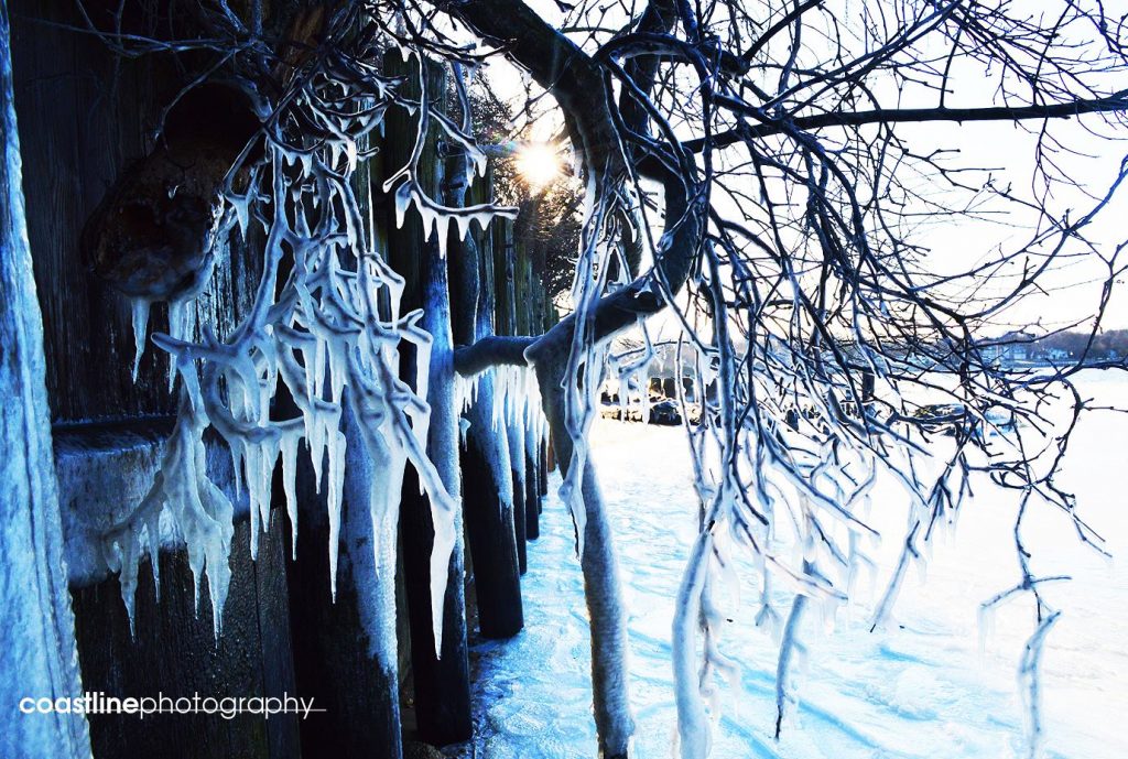 10945671_784781904925524_6811248277449143964_o Belmar Marina in February 2015 by Coastline Photography.