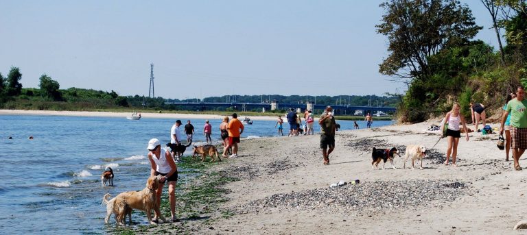  Fisherman's Cove. (Image: Borough of Manasquan) 