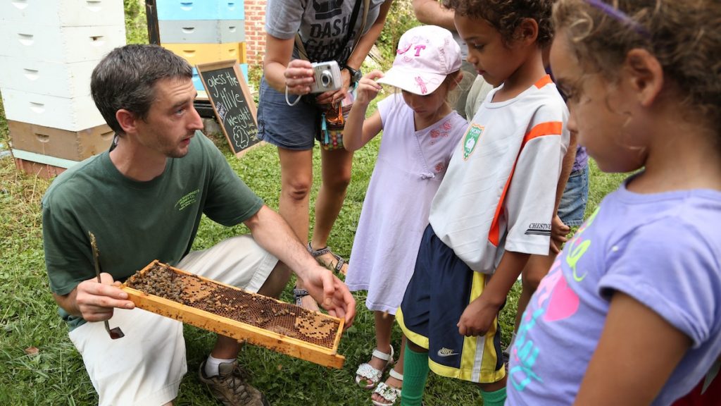 11 Young Honey Festival attendees fearlessly watched up close while hearing a presentation about how the bees make their honey. (Natavan Werbock/for NewsWorks)