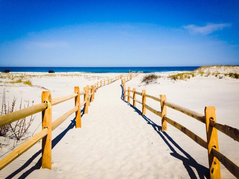 Island Beach State Park by JSHN contributor Cindy Maioriello Hummel‎.  