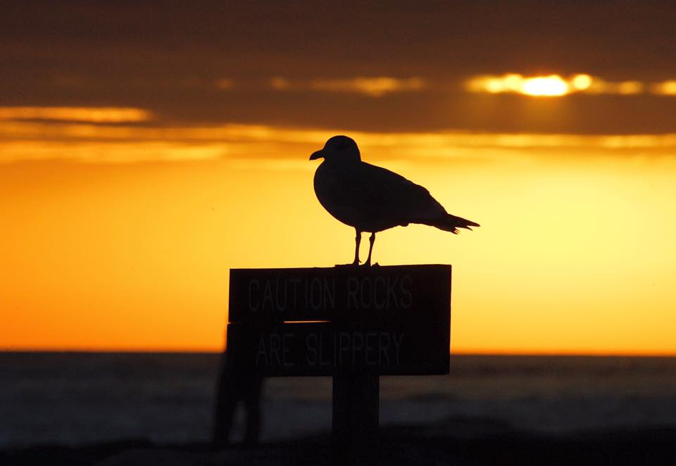 11988779_919217081459902_5054976850252099225_n Thanksgiving Day sunrise at Barnegat Light by JSHN contributor Lance Schnatterly.