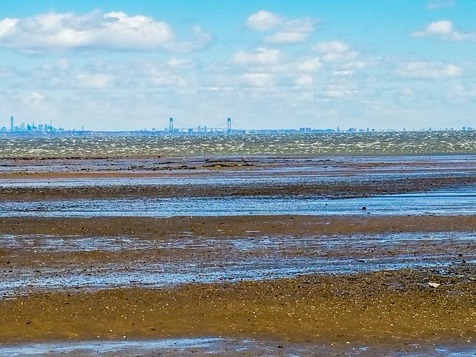 12924502_10201715924896430_512414822959159563_n-1 Low water in the Raritan Bay this morning. (Photo: JSHN contributor Erin Burkhardt)
