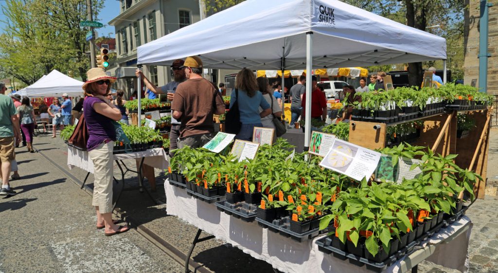 14-3 Over 150 home and garden vendors offered a wide selection of plants and flower seedlings (Natavan Werbock/for NewsWorks)